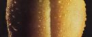 cropped-tocca.jpg